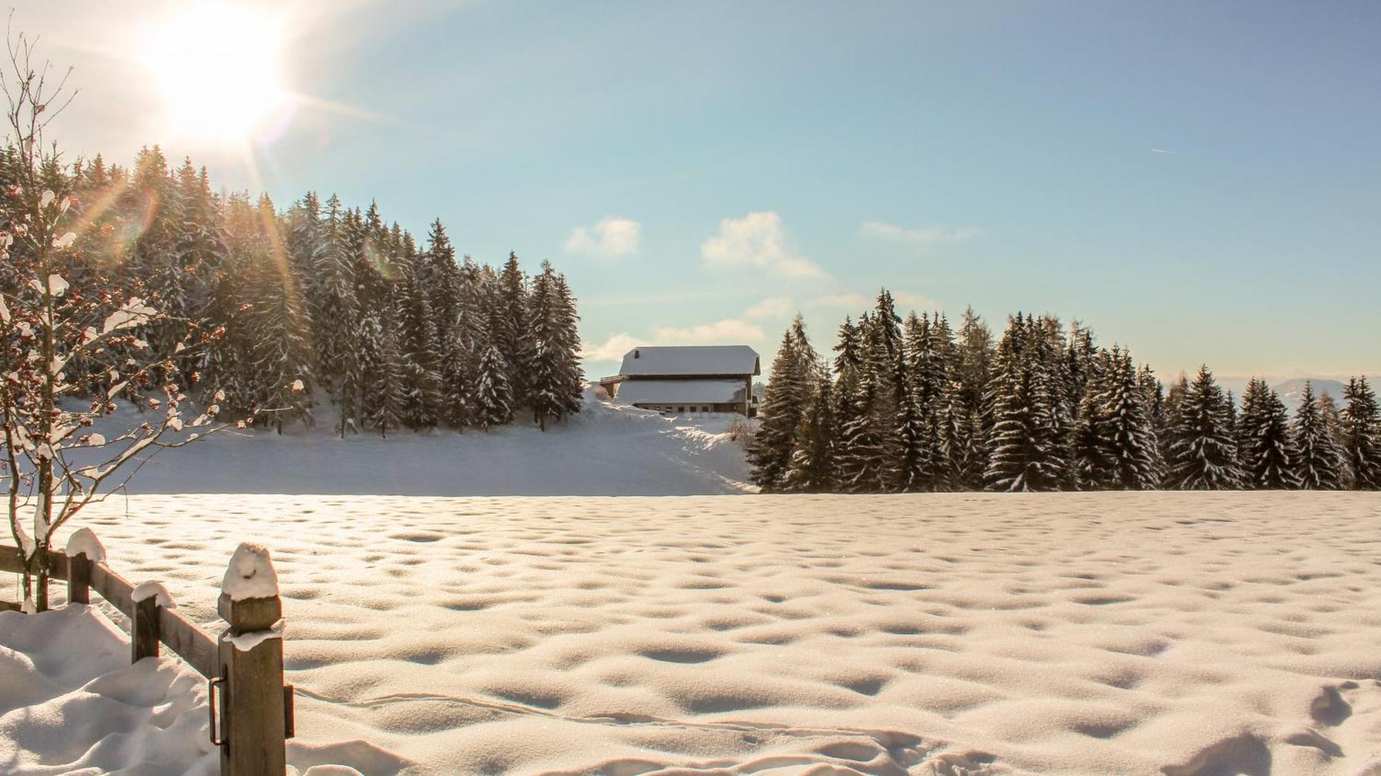 Berghotel Zum Zirm Collalbo Exteriör bild